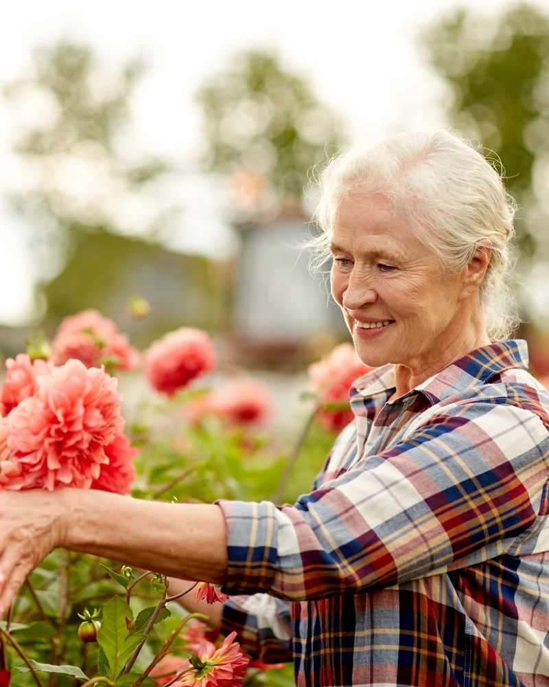 senior woman gardening